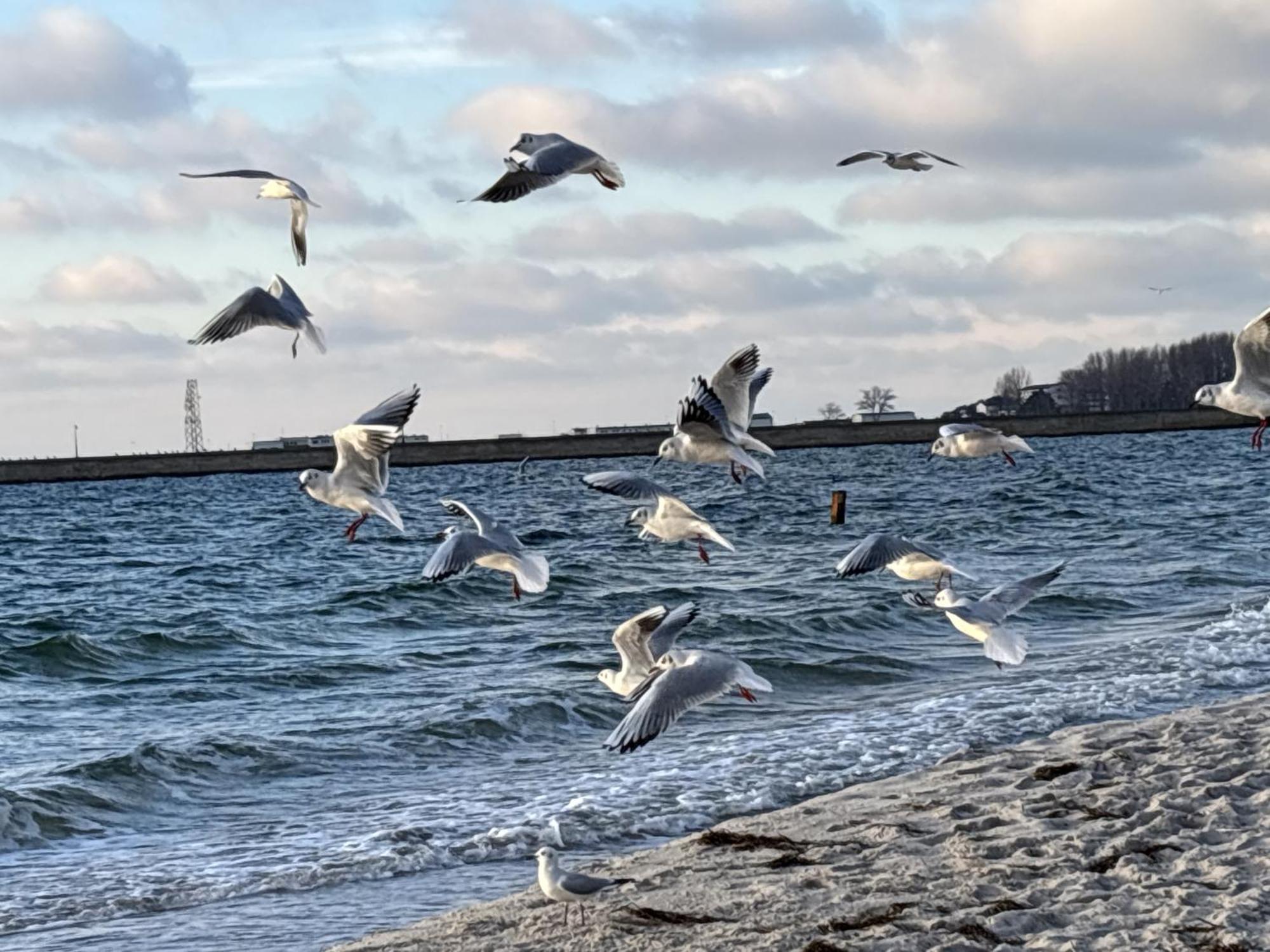 Apartament Oceanview Baltyk -bezplatny Parking Gdynia